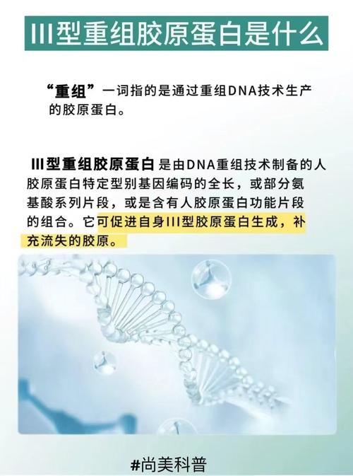 三型重组胶原蛋白是什么?